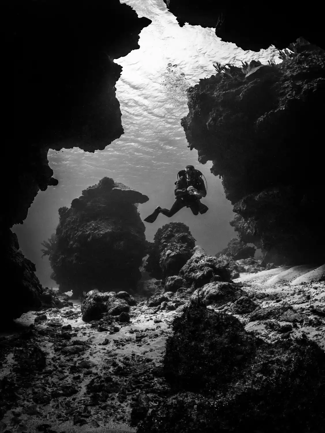 Cliff diving