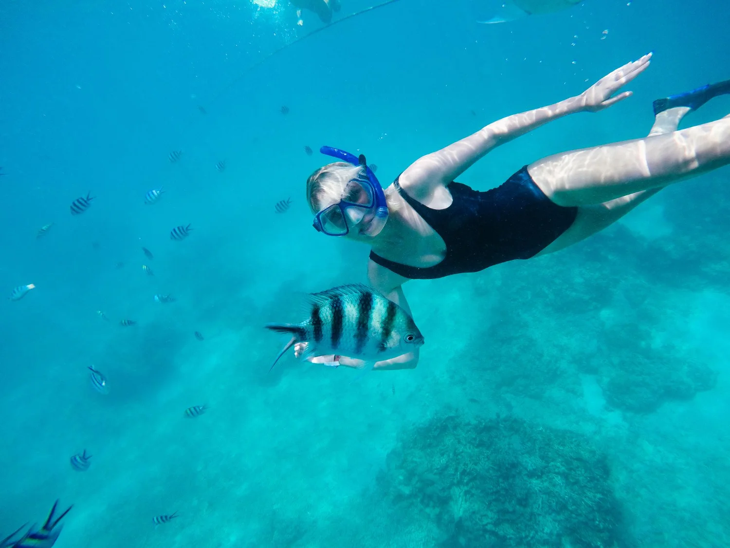 Free Diving