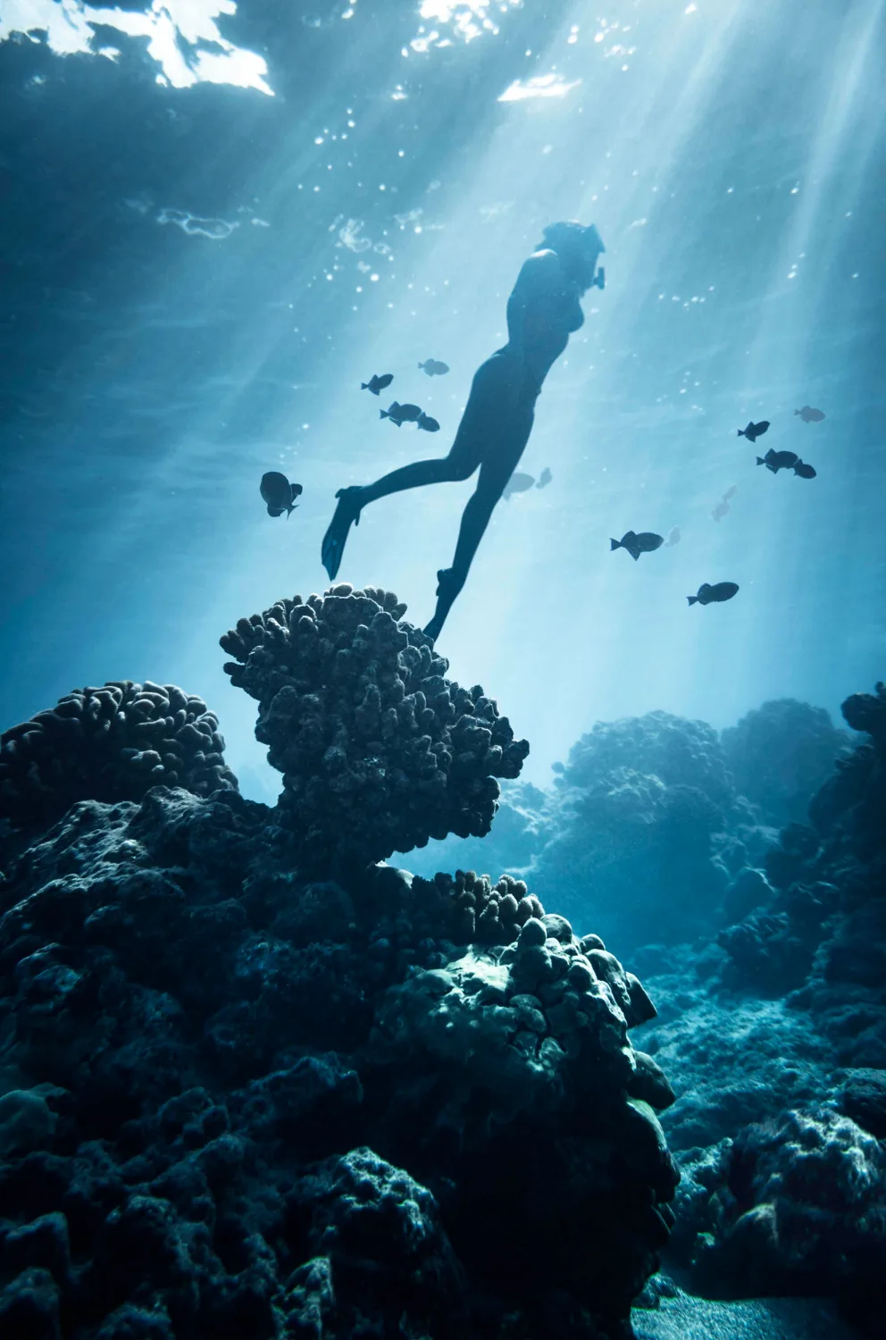 Cliff diving